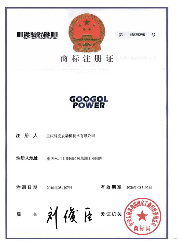 GOOGOL POWER-第6类-1585298-1