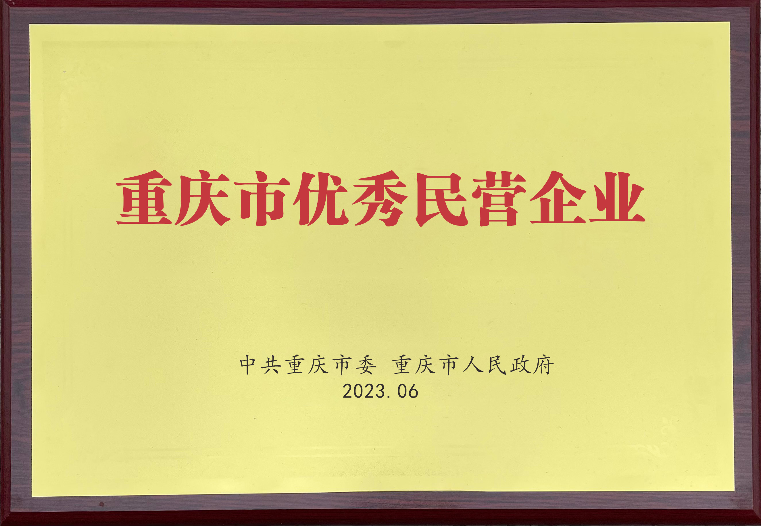 重庆市优秀民营企业